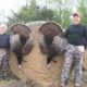 Turkey Hunts Nebraska