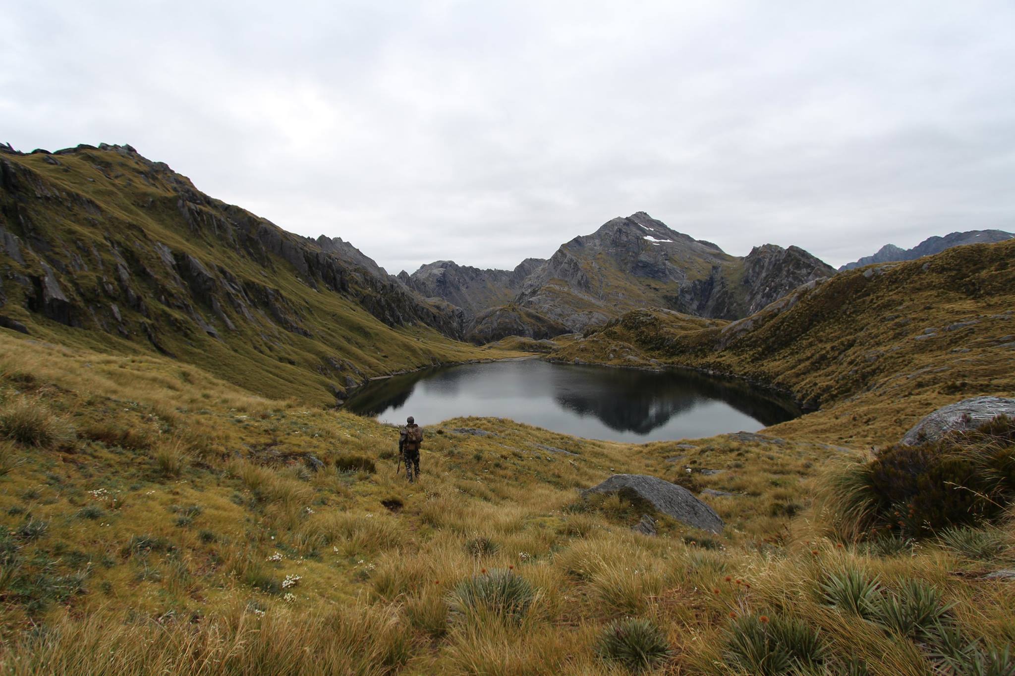 The scenery in New Zealand is amazing