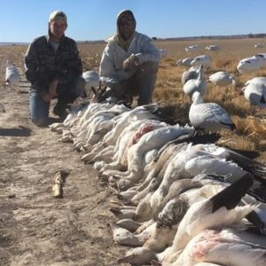 North Platte Snow Goose Hunting