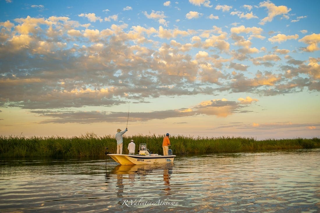 Argentina Golden Dorado Fishing Boats GDRC1 » Outdoors International If you like violent, aggressive takes, the Golden Dorado is for you!