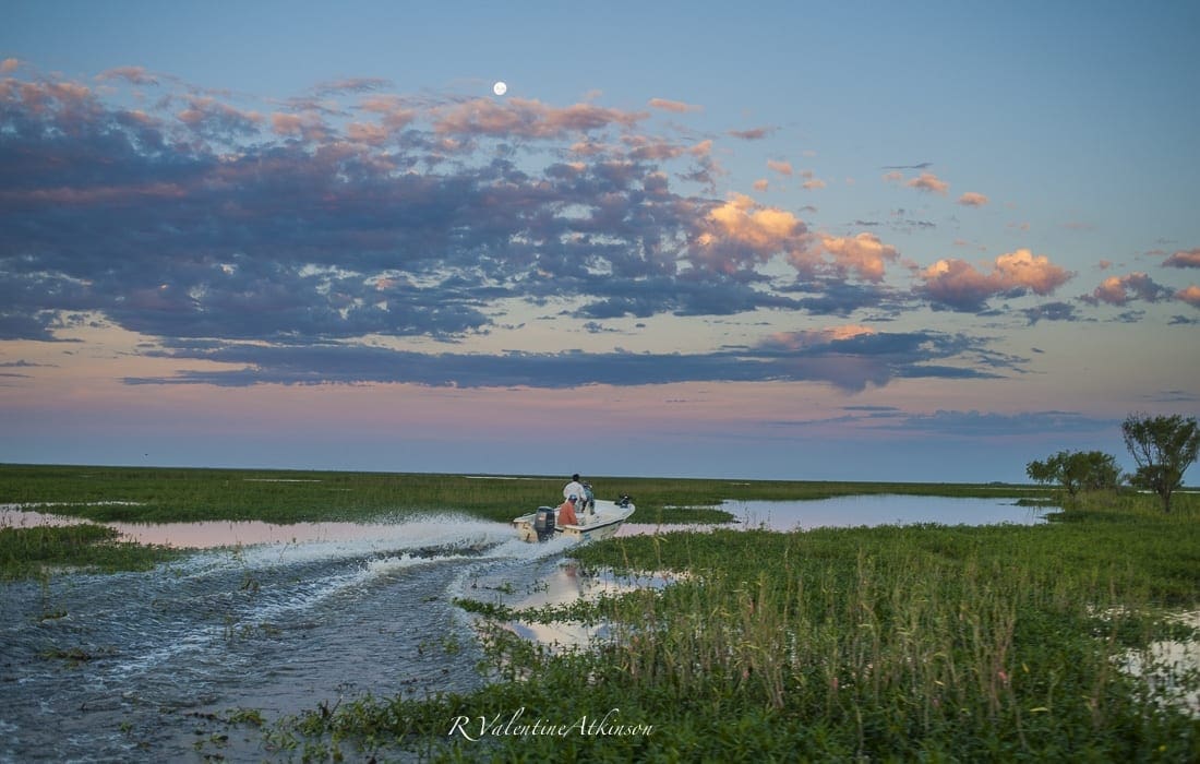 The Delta is beautiful