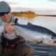 Alagnak River Fly Fishing Lodge