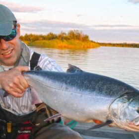A great silver salmon A great silver salmon