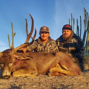 Sonora Mexico Mule Deer Hunts