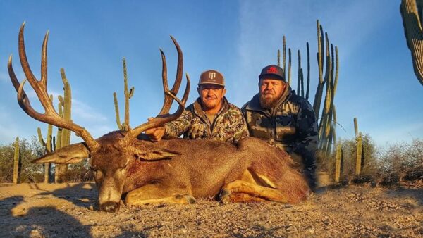 Sonora Mexico Mule Deer Hunts