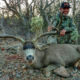 Sonora Mexico Mule Deer Hunt