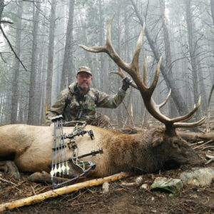 Elk hunting in Colorado