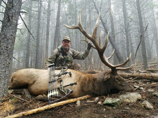 Elk hunting in Colorado