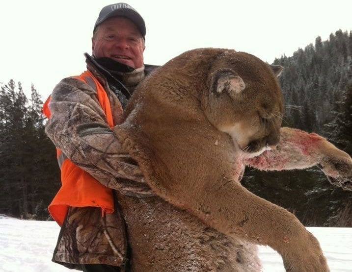 Idaho mountain lion hunts