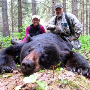 Bear hunting in British Columbia