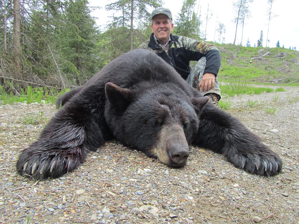 British Columbia Black Bear Hunt PO1 » Outdoors International Spot and Stalk Archery British Columbia Black Bear Hunt