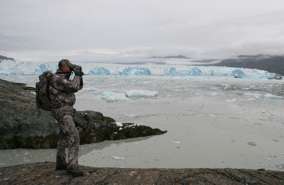 Glassing for caribou in greenland