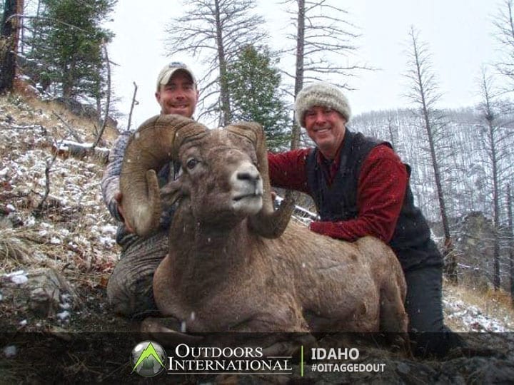 Idaho Bighorn Sheep in Unit 26 - Idaho Frank Church Wilderness