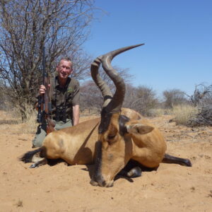 Namibia-DWHSN1-red hartebeest » Outdoors International A big Red Hartebeest