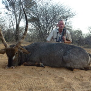 Namibia-DWHSN1-waterbuck » Outdoors International A giant Namibia waterbuck
