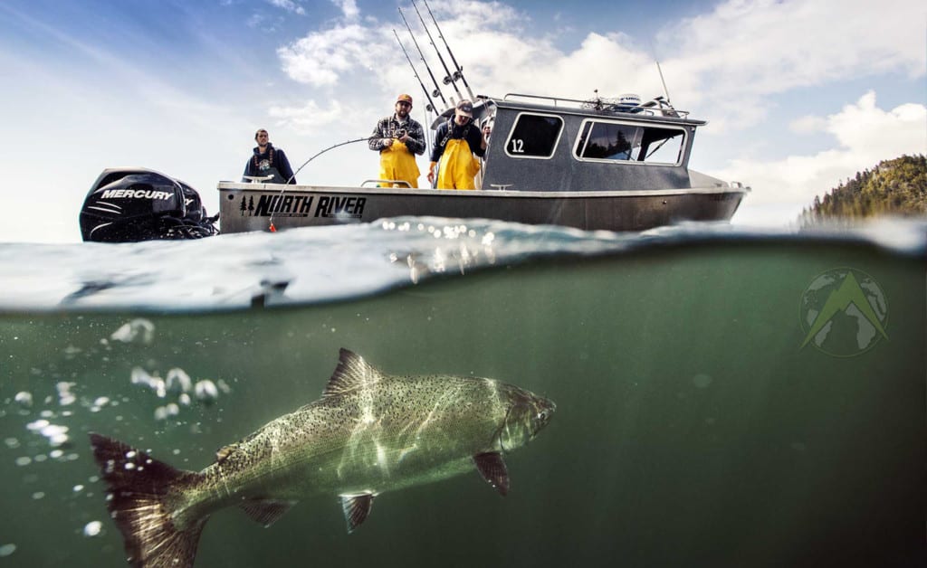 King salmon fishing in Alaska from a boat at Prince of Wales Fishing Lodge