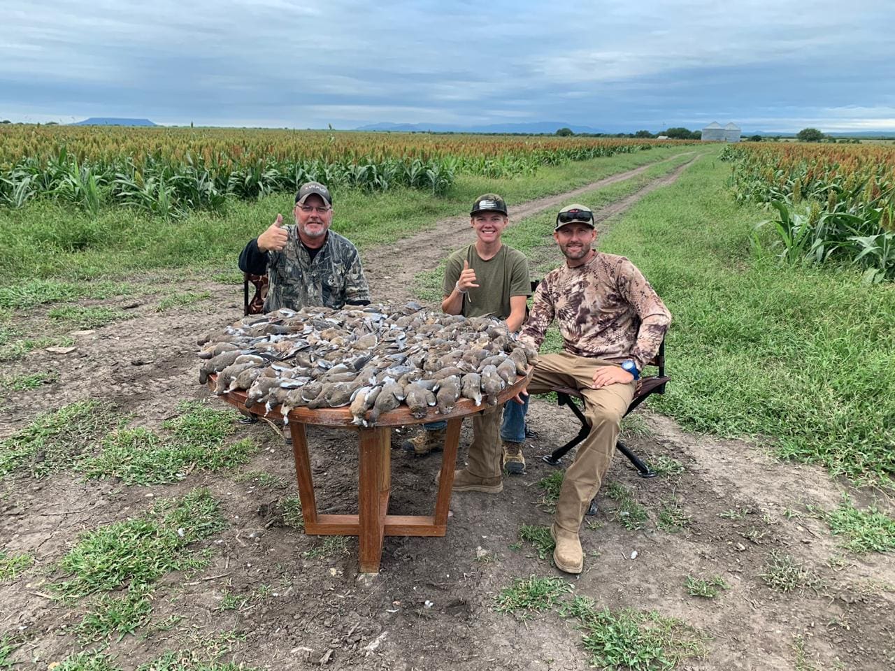 Mexico-Bobwhite-Quail-HLP-2 » Outdoors International The bobwhite quail hunting is nothing short of unbelievable.