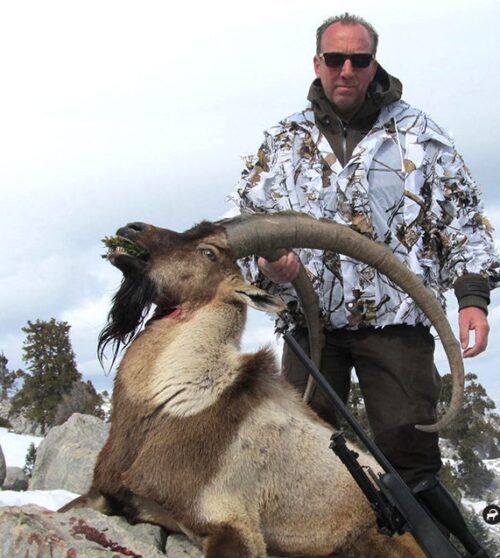 Ibex hunts in Turkey