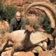 Bezoar Ibex Hunting in Turkey