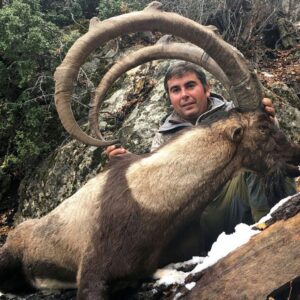 Bezoar ibex hunting in Turkey