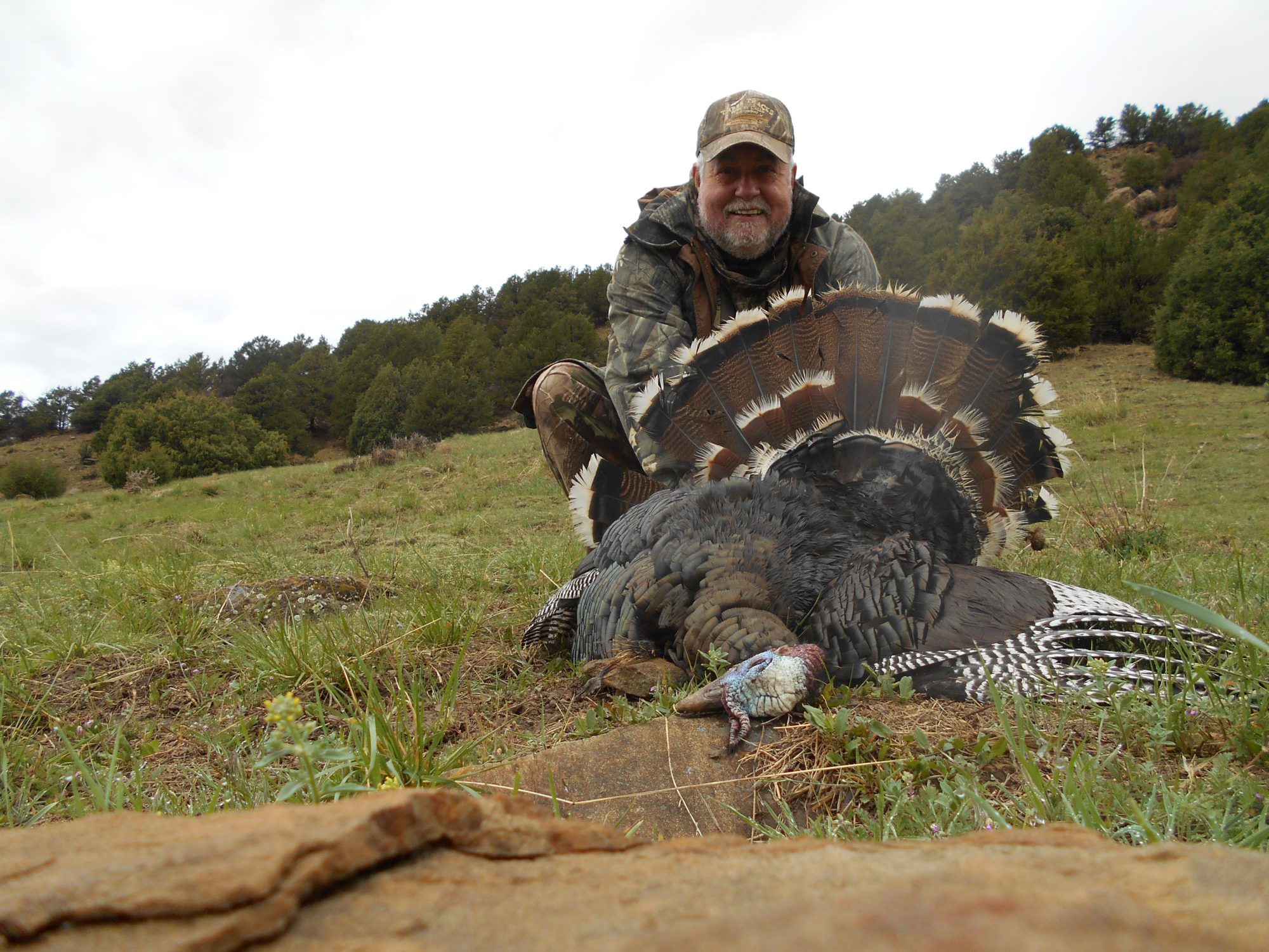 OI client with a great gobbler