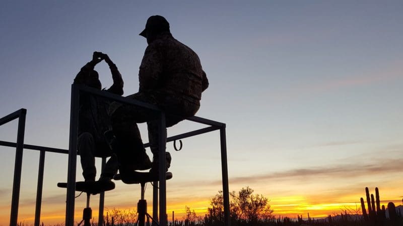 Mule deer hunting in mexico