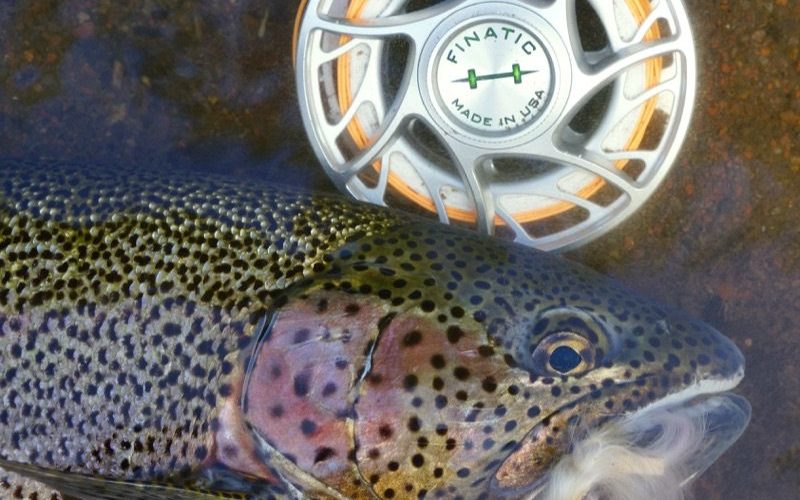 Kamchatka-16 Beautiful trout on a fly