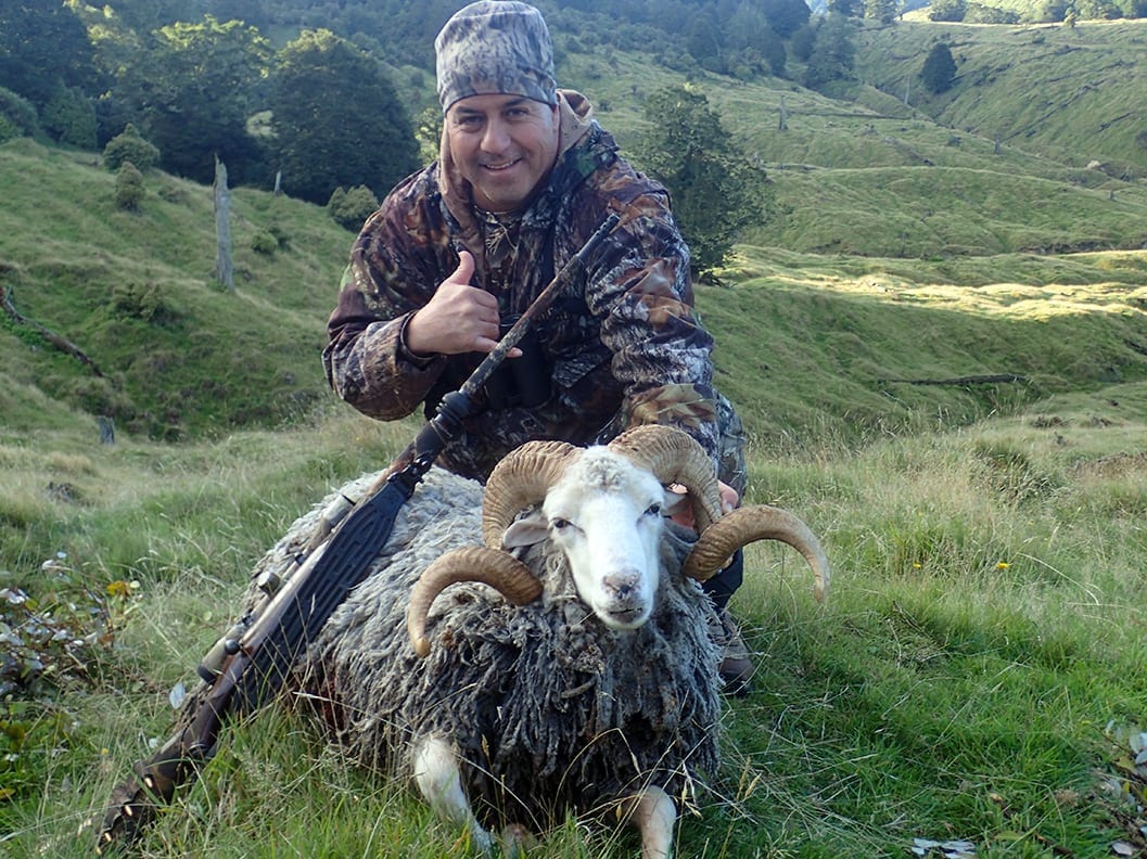 Feral Sheep Hunting Trips
