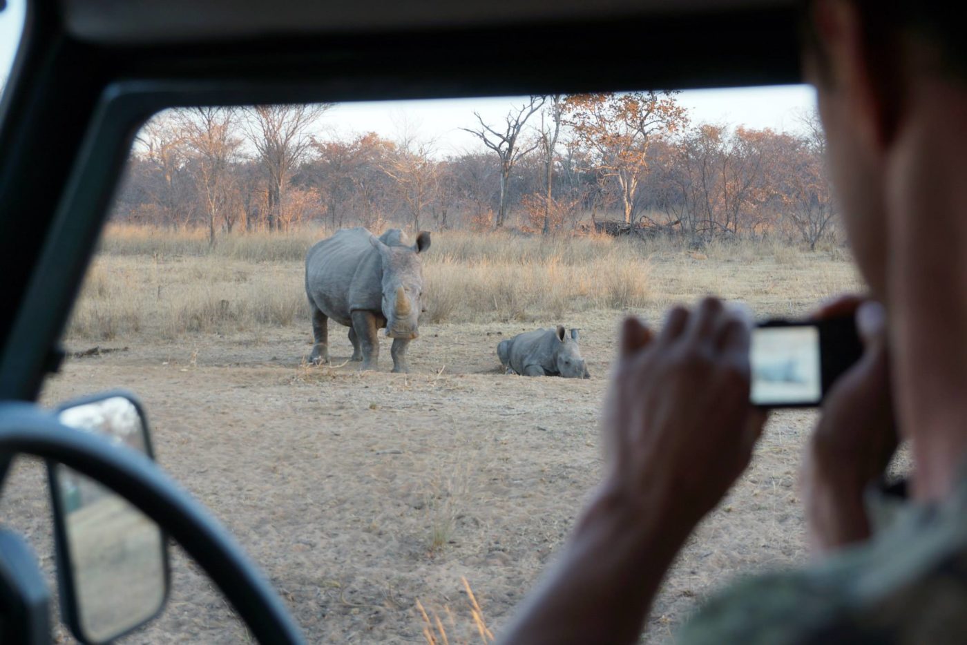 Visit Kruger National Park