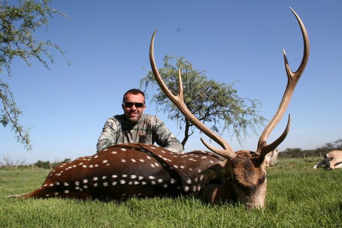 Hunting axis deer in Argentina