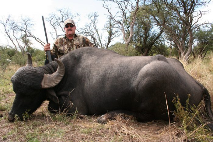 water buffalo hunting in Argentina