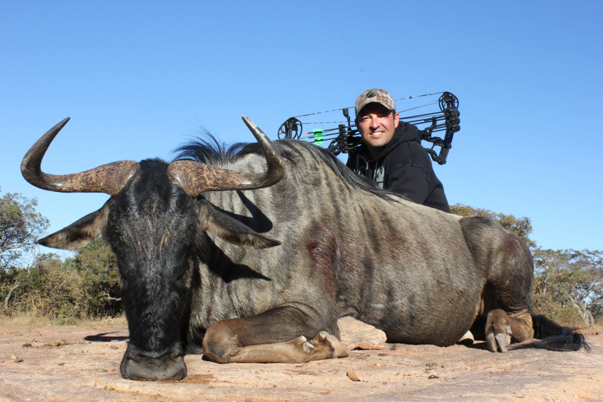 Cory Glauner with a nice archery blue wildebeest