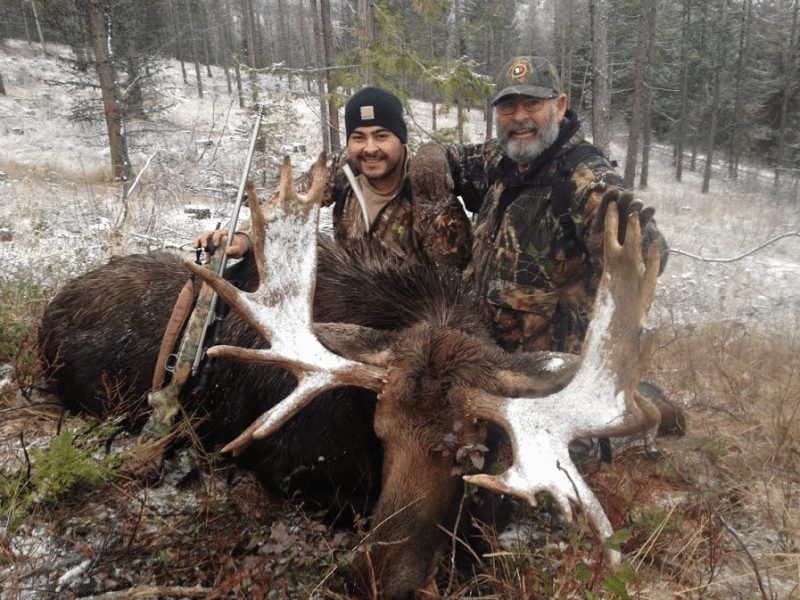 Trophy Shiras Moose Hunt in Washington