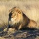 African Safari Gear List