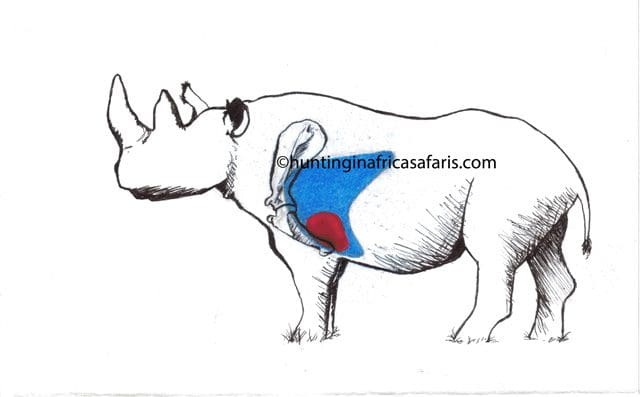 Shot placement for rhinos