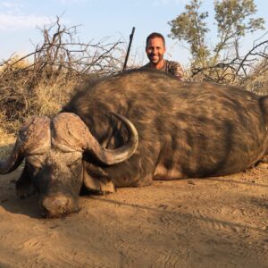 Mozambique cape buffalo hunting