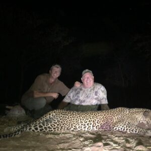 leopard hunting in mozambique