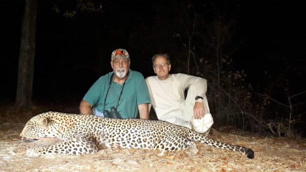 leopard hunting in mozambique