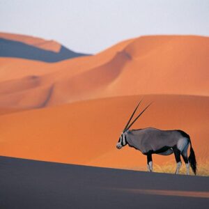 Namibia