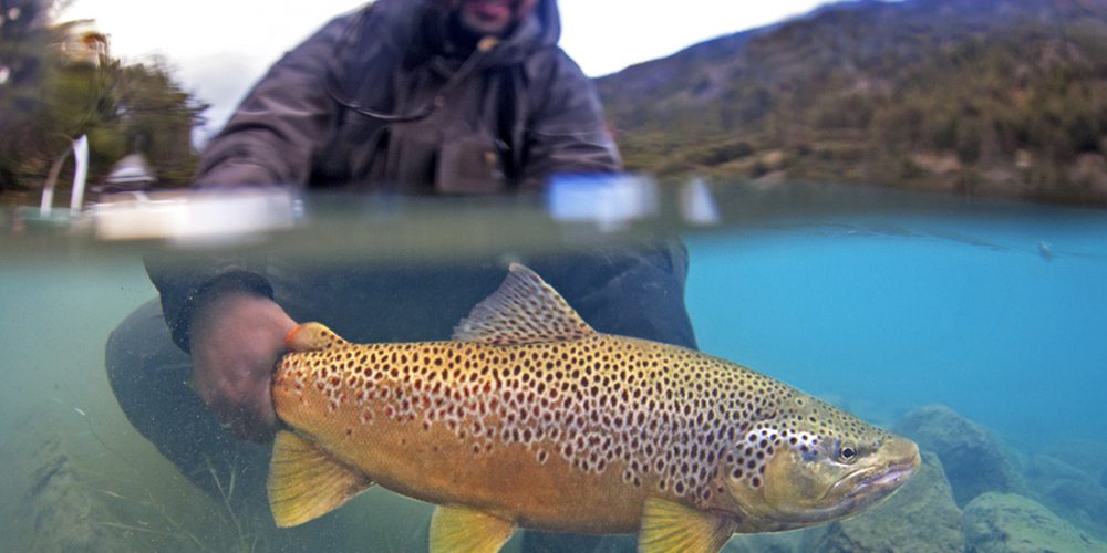 Magic Waters Patagonia Chile Fly Fishing Lodge (4) April through May With a hint of autumn in the air, April brings shorter days and cooler nights