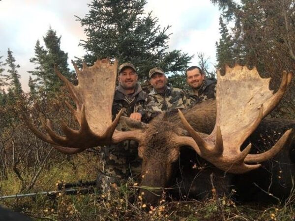 Alaska Trophy Guided Moose Hunt