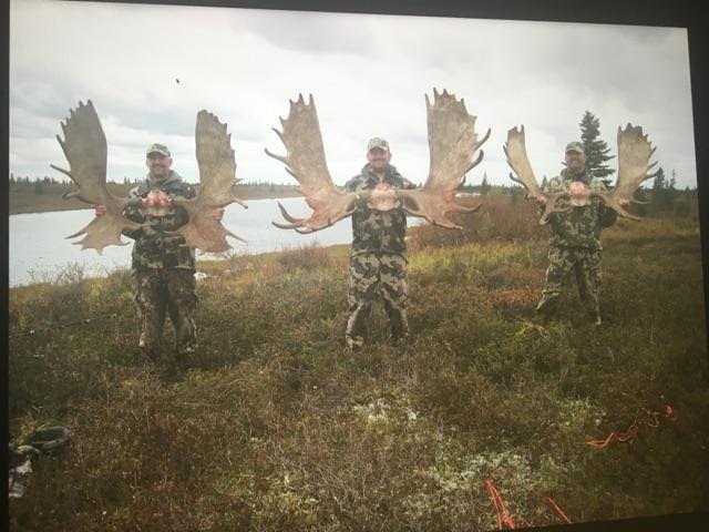Triple play on big bull moose