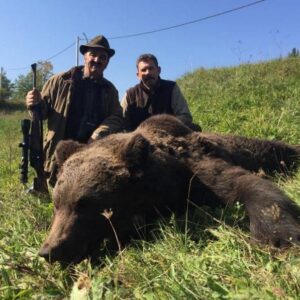 Eurasian Brown Bear Hunts