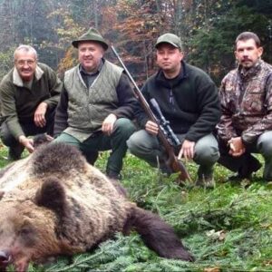 Eurasian brown bear hunt