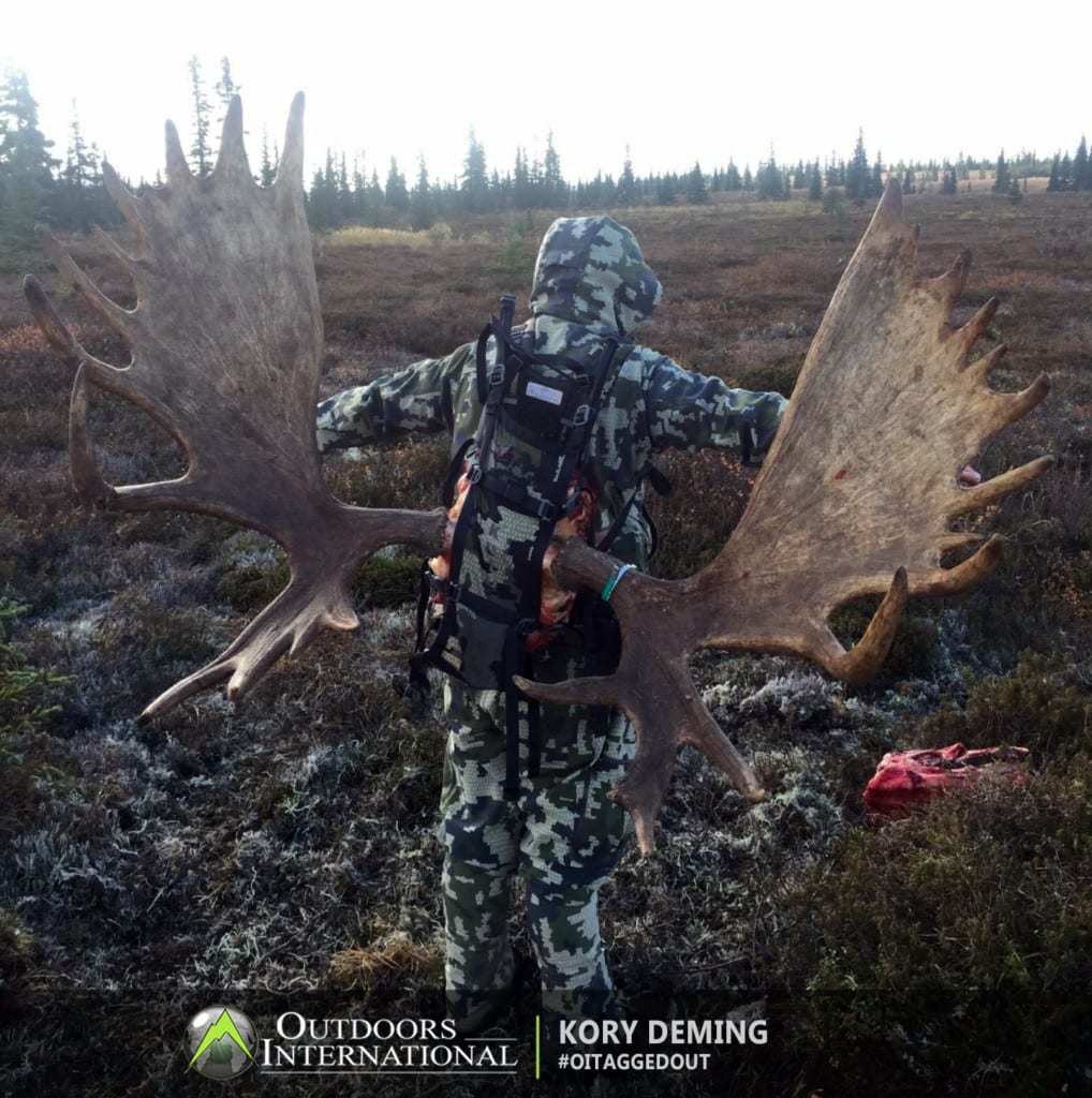 Packing out a big bull moose