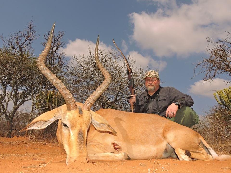 Impala hunting