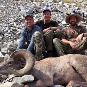 Bighorn Sheep Hunt in Idaho's Frank Church Wilderness