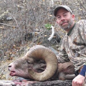 Idaho Bighorn Sheep Hunt