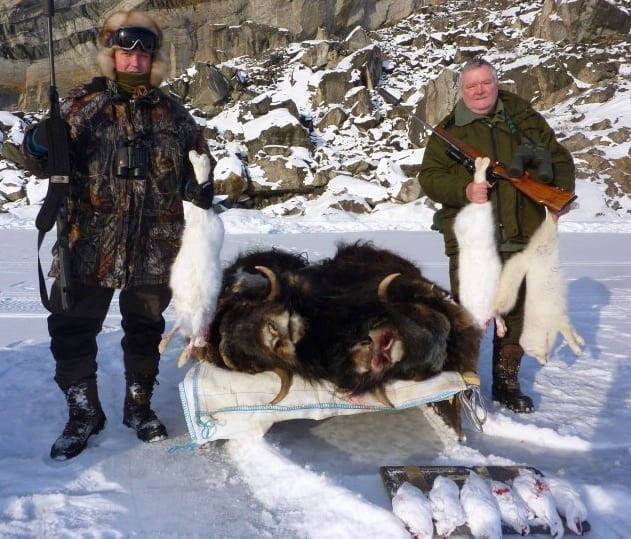 The Arctic Five