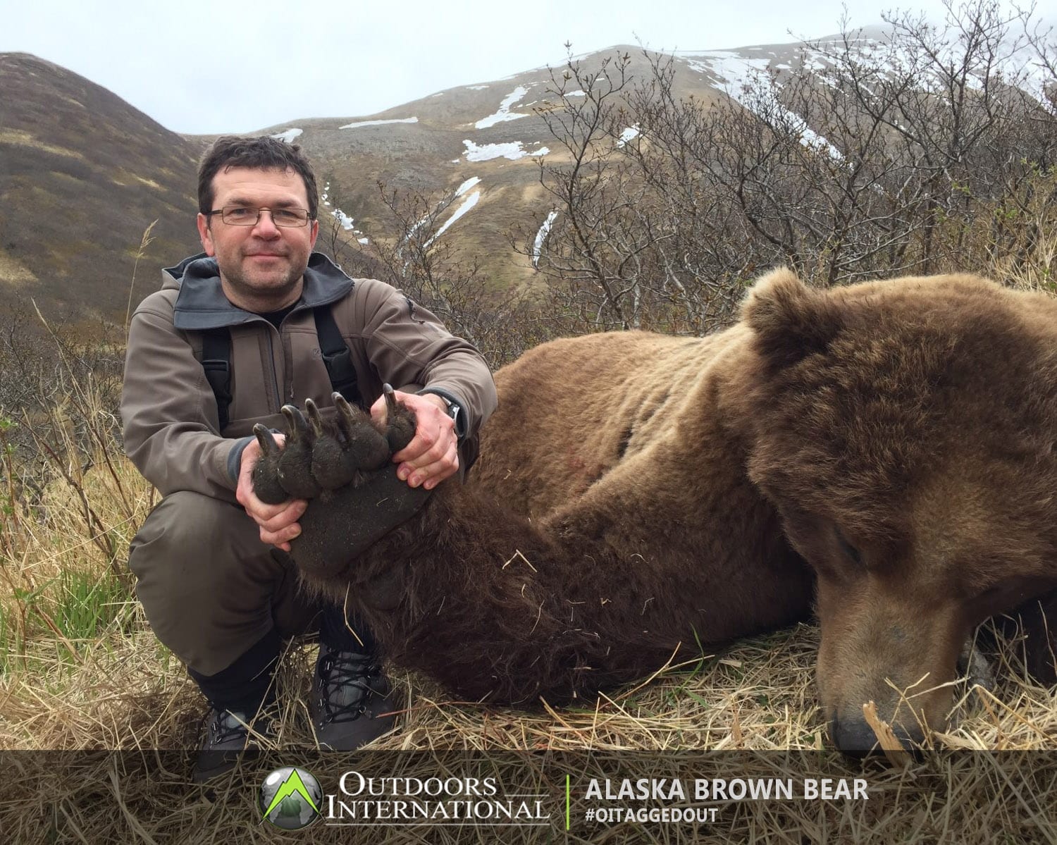 Hunting brown bears on the Peninsula